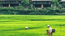 Hanoi to Mai Chau: Explore Beauty Villages on a Guided Day Tour