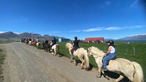 Horse Riding Tour and Explore Scenery in Gásir Akureyri