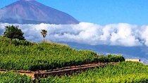 Teide National Park with visit to wineries in Tenerife