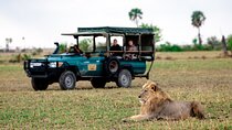 Private Guided Full Day Tour at Pilanesberg Safari