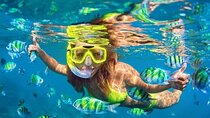 Los Cabos Platinum Snorkel Experience