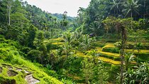 Private East Bali Highlights Tour with Customizable Itinerary