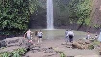 Ubud: Tibumana, Kanto Lampo, Tukad Cepung and Goa Raja Waterfalls