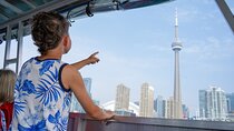 Toronto Premium Small Group Driving Tour with CN Tower 