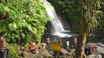 Local Market, Crayfish Waterfall and Rum Distillery with Tasting