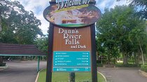 Private Dunn's River Falls Tour from Montego Bay