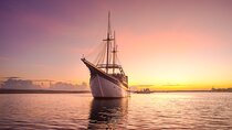 Sunset Sailboat Dinner Cruise & Private Ubud highlights Tour.