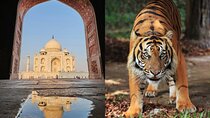 8 Days Delhi Agra Ranthambore Udaipur Jodhpur Jaipur Tour