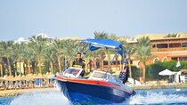 Swim with Dolphins Semi Private Speedboat Sea Tour - Hurghada
