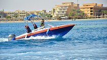Swim with Dolphin By Semi Private Speedboat & Transfer - Hurghada
