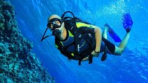 2 Stops Daily Diving Explore Underwater Adventure - Hurghada