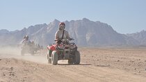 Exciting Family Safari ATV Quad, Buggy & Bedouin Night - Hurghada