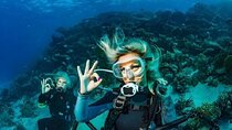 PADI Advanced Diving Course ( Open Water ) & Lunch - Hurghada