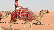 Thrilling Morning Red Dune Desert Safari with Camel Ride in Dubai