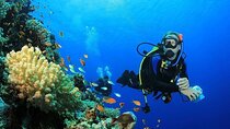 Intro Diving Full-Day Boat Trip, Lunch & Transfers - Hurghada