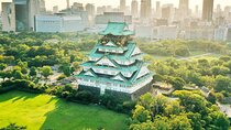 Osaka Castle Walking Tour and Castle Tower Admission