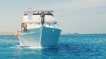 Dolphin House Reef Snorkeling Excursion & Transfers / Marsa Alam