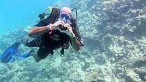 Hurghada Scuba Diving Adventure in the Red Sea – Lunch & Transfer