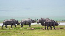 4-Day Group Tour Explore Tarangire, Serengeti and Ngorongoro