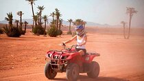ATV Quad & Camel Ride Safari (Morning or Afternoon) :Marsa Alam