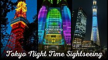 Private Tokyo Night Time Sightseeing Ride 3 Scenic Route Options