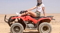 Desert Safari ATV, Buggy Car, Camel Ride, Bedouin Dinner:Hurghada