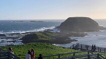 Private Melbourne Tour: Phillip Island and Chocolate Factory