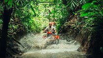 Bali ATV Quad Bike with Ubud Day Tour All Inclusive