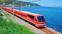 FromTokyo: Izu Scenic Oceanview Train, Volcano, Coast Day Trip