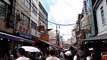 TOKYO : TSUKIJI "FISH SUSHI" Tasting Tour with Japanese Guide