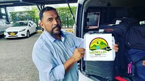 Seamless Transfer: JMC (MDE) Airport ↔ El Peñol & Guatapé