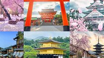 3 Day Private Osaka Kyoto and Nara Tour