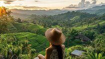  Bali Tour : UNESCO Rice Terrace, Temple and Hidden Waterfalls