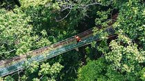 Sky Rock Khaolak Jungle Adventure Zipline Experience