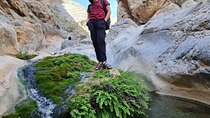 Explore Wadi Qurai Nature, Souq and Old Village, Hike and Swim
