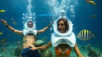 SeaTrek Helmet Diving Tour in Cabo’s Clear Waters
