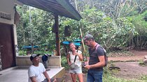 Stingless Bee Experience and Scenic Countryside Walk