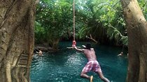 Kikuletwa Hot Springs Day Trip from Moshi or Arusha