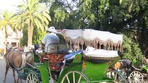 Marrakech City Tour with Anima Garden, Menara & Caleche Ride
