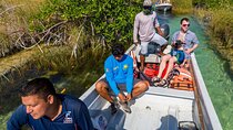 Private Boat Sian Ka'an Floating Ancient Mayan Canals and Tacos