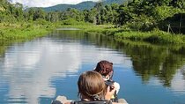 Manu Jungle Expedition 3 Days - 2 Nights from Cusco.