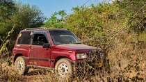 Day Safari to Arusha National Park in ‘Little Red Rover’ 
