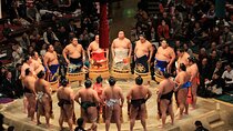 Grand Sumo Tournament Tour w/an English Guide ,Tokyo January 2026