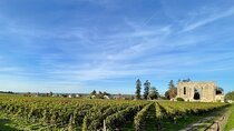 From Bordeaux Half day in Saint-Emilion EN Van Privatif