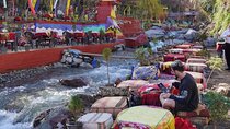 Day Trip to the Atlas Mountains Ourika Valley and Waterfalls