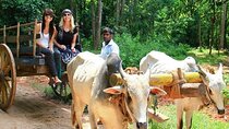All Day Wildlife Tour with Village Life Experience