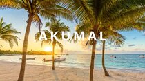 Private one-way airport transfer from Cancun - Akumal.