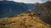 Milford Sound Earnslaw Burn Helicopter Tour from Queenstown
