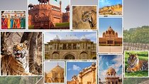 India Forts & Palaces With Tigers Rajasthan Tour - 17 Days