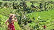  Mystical North Bali Temples, Waterfalls, and Culture